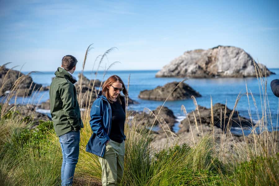 From Christchurch: Kaikōura Day Tour With Dolphin Encounter - The four-hour Dolphin Encounter is the main event
