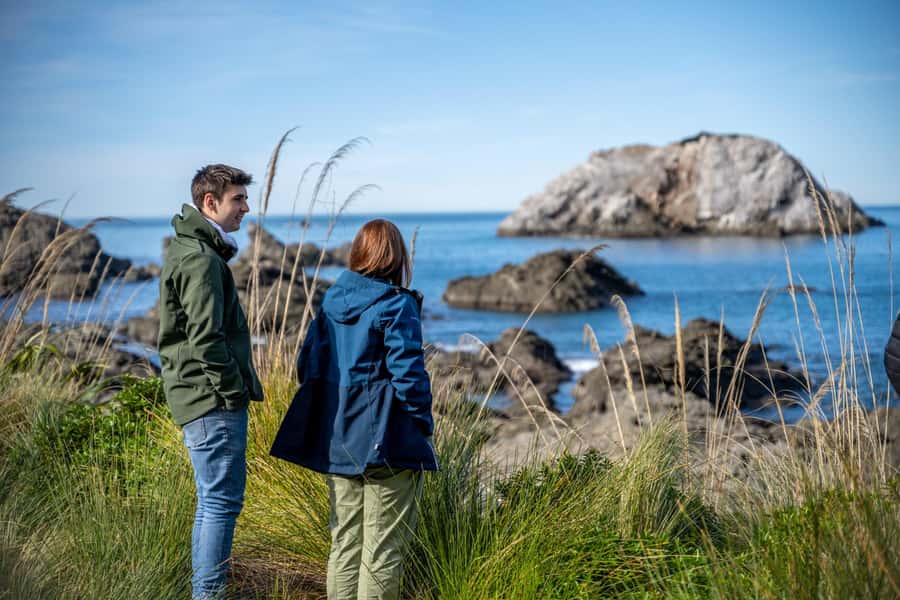 From Christchurch: Kaikōura Day Tour with Whale Watching - Why Kaikōura is such a strong whale-watching setting