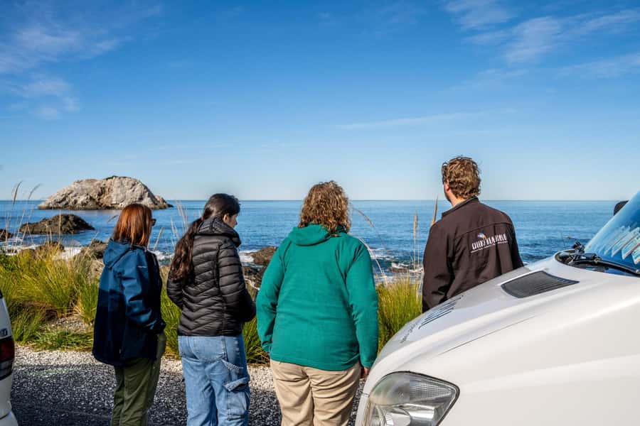 From Christchurch: Kaikōura Day Tour with Whale Watching - The two-hour Whale Watch Kaikōura cruise