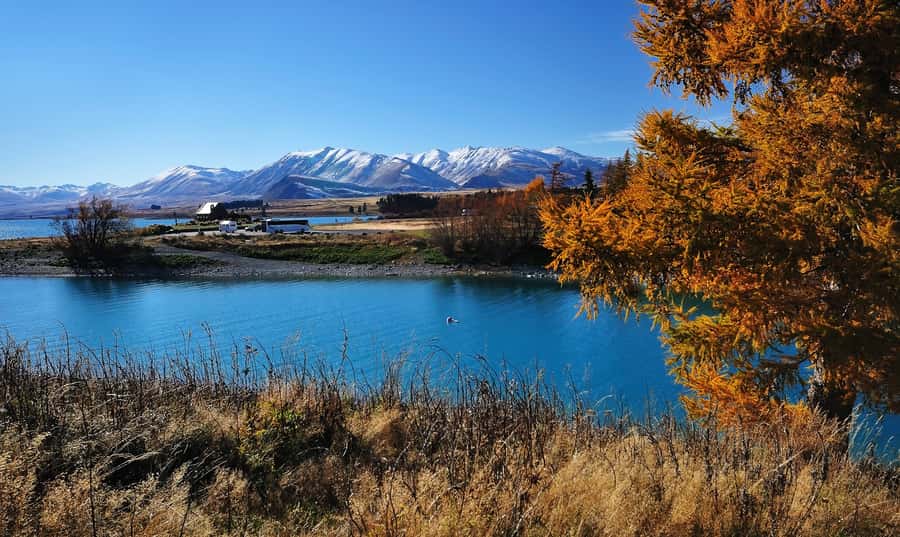 From Christchurch: Queenstown via Tekapo & Mt Cook Day Trip - Two to two and a half hours at Aoraki Mt Cook