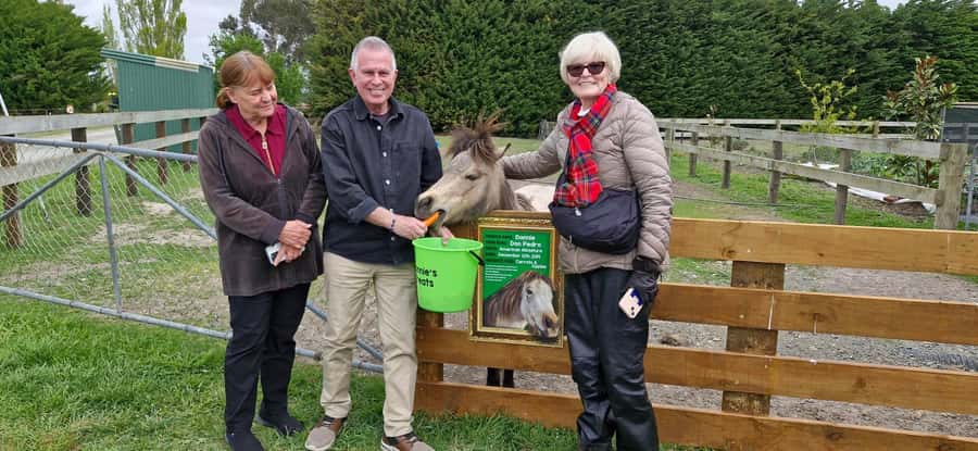 From Christchurch: Sheep Farm Experience with Lunch & Winery - From Christchurch to the Canterbury coast