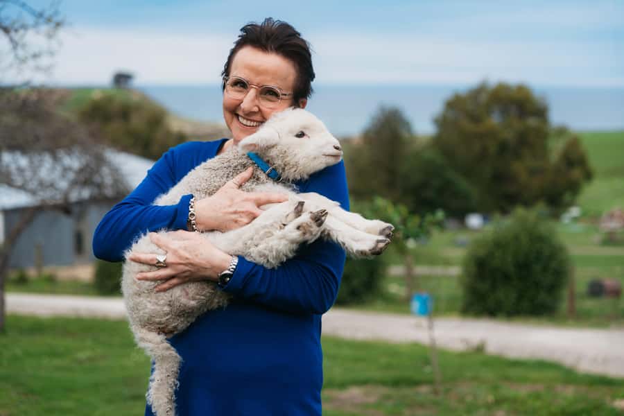 From Christchurch: Sheep Farm Experience with Lunch & Winery - Glenafric Farm: real work, real animals