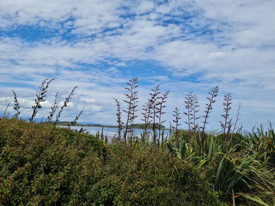 From Greymouth: Highlights West Coast Day Tour - Through the Grey Valley to Brunner Mine Site