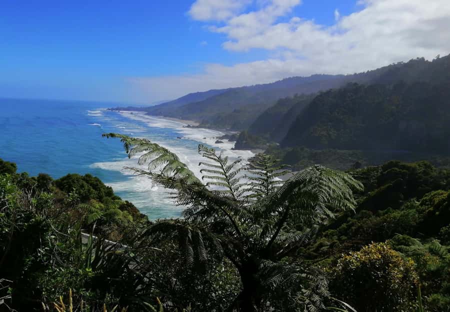 From Greymouth: Highlights West Coast Day Tour - 8:30 a.m. from Greymouth to Punakaiki