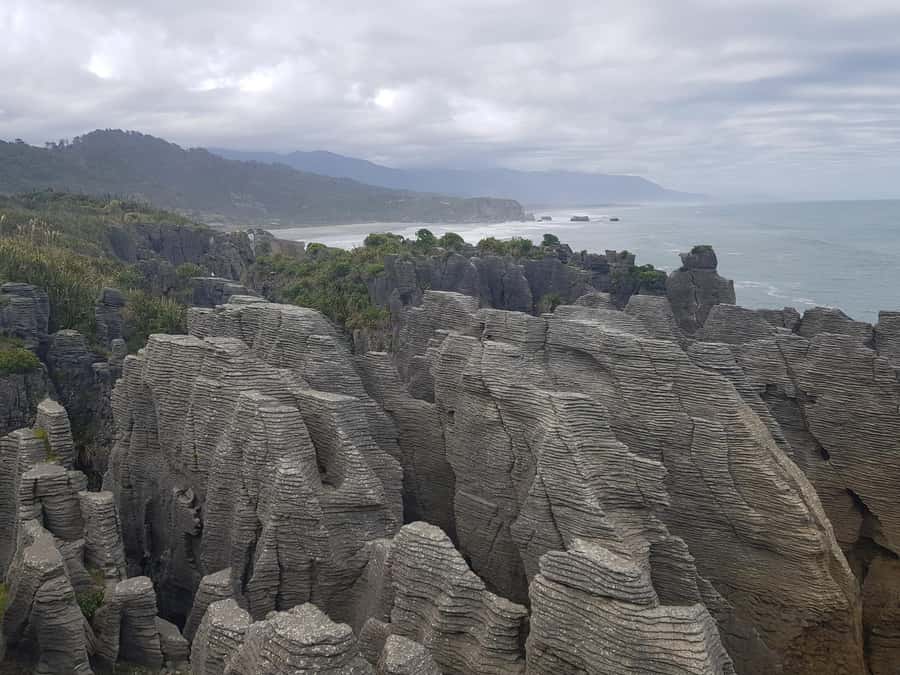 From Greymouth: Punakaiki Blowholes & Pancake Rocks Tour - Why Punakaiki makes a strong half-day outing