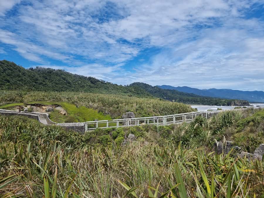From Greymouth: Punakaiki Blowholes & Pancake Rocks Tour - Is $83 per person good value?