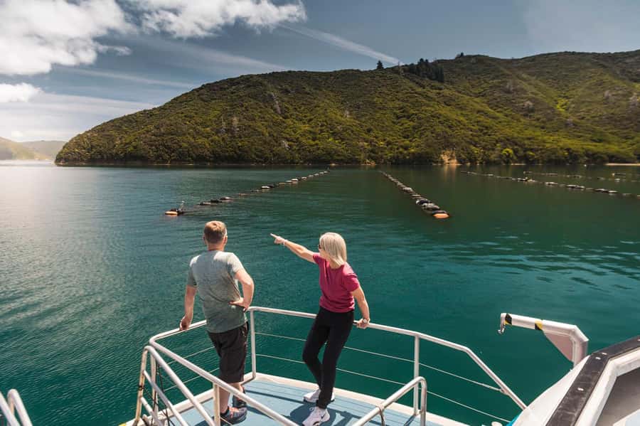 From Havelock: Marlborough Sounds Mail Boat Full-Day Cruise - Meeting residents at remote jetties