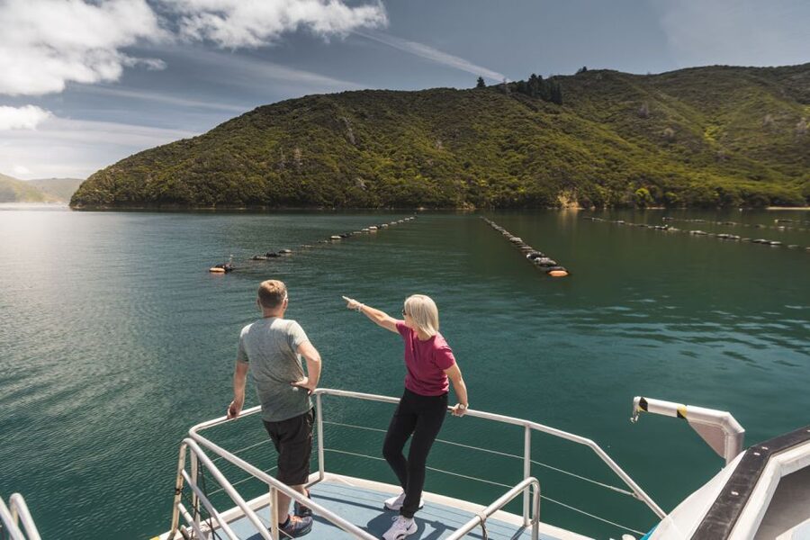From Havelock: Marlborough Sounds Mail Boat Full-Day Cruise - What the boat ride feels like