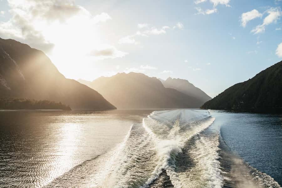 From Manapouri: Doubtful Sound Wilderness Day Trip - Food, seating, and what to carry