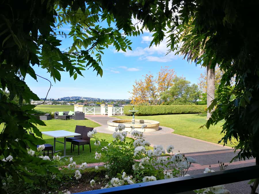 From Napier: Hawke's Bay Small Group Wine Capita Tour - Why Hawke’s Bay makes a fine wine day