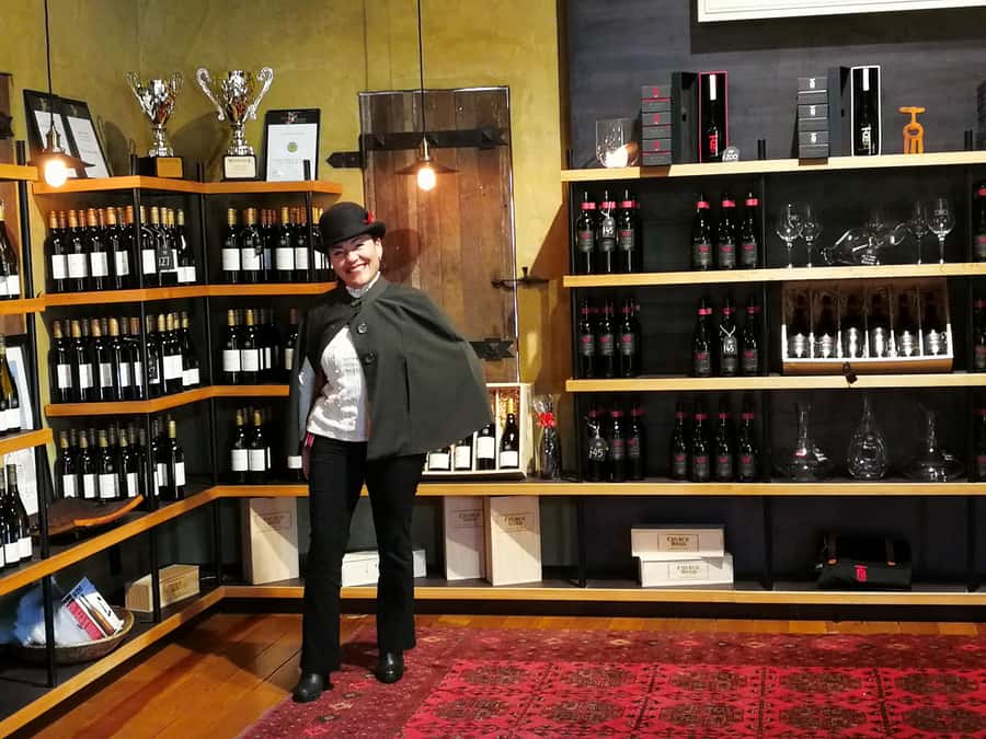 From Napier: Hawke's Bay Small Group Wine Capita Tour - Tasting Hawke’s Bay from white wines to bold reds