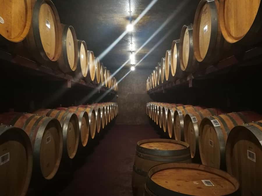 From Napier: Hawke's Bay Small Group Wine Capita Tour - Cheese, charcuterie, and a useful break from tasting
