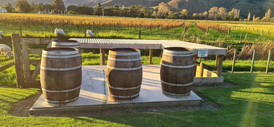 From Napier: Hawke's Bay Small Group Wine Capita Tour - Who will enjoy this tour most