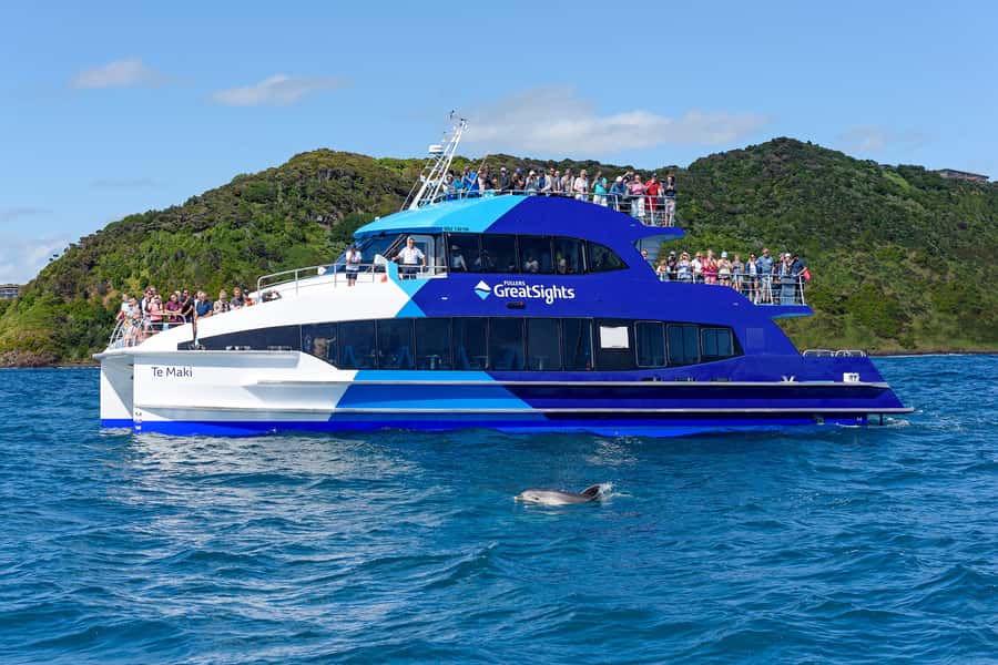 From Paihia: Full-Day Bay of Islands Cruise - Weather, comfort, and what to pack