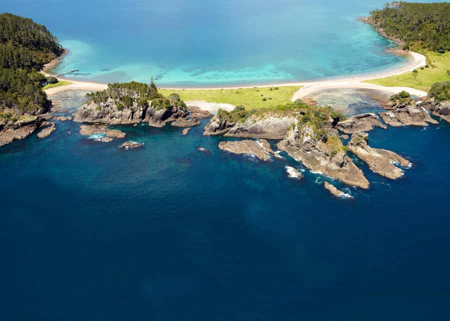 From Paihia: Hole in the Rock Cruise & Island Tour: 3 Hour - Wildlife watching between the main stops