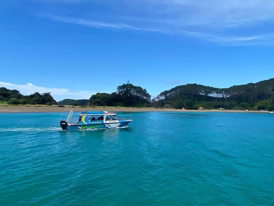 From Paihia: Hole in the Rock Cruise & Island Tour: 3 Hour - Who should book this Bay of Islands cruise?