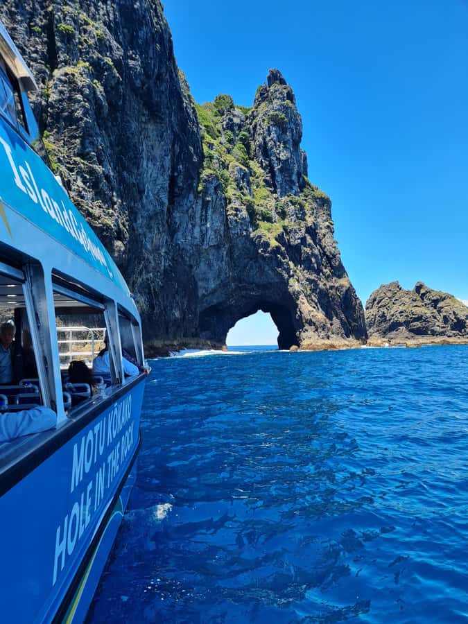 From Paihia: Hole in the Rock Cruise & Island Tour: 3 Hour - Leaving Paihia and entering the island-filled bay