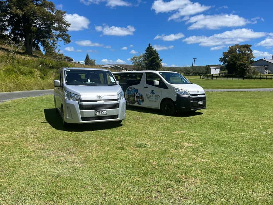 From Paihia: Kawiti Glowworm Caves Guided Tour - Key points to know before you book