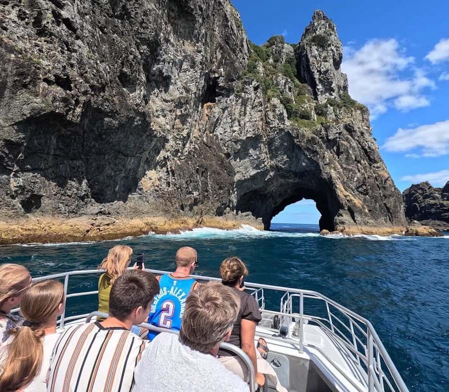 From Paihia: Scenic Cruise with Roberton Island Stopover - Key points to know before you book