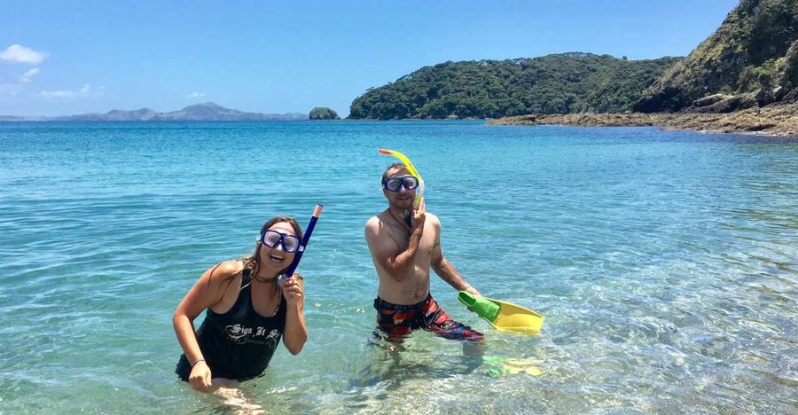 From Paihia: Scenic Cruise with Roberton Island Stopover - Who will enjoy this cruise most?