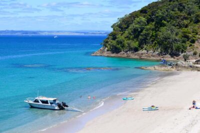 Scenic Cruise with Roberton Island Stopover