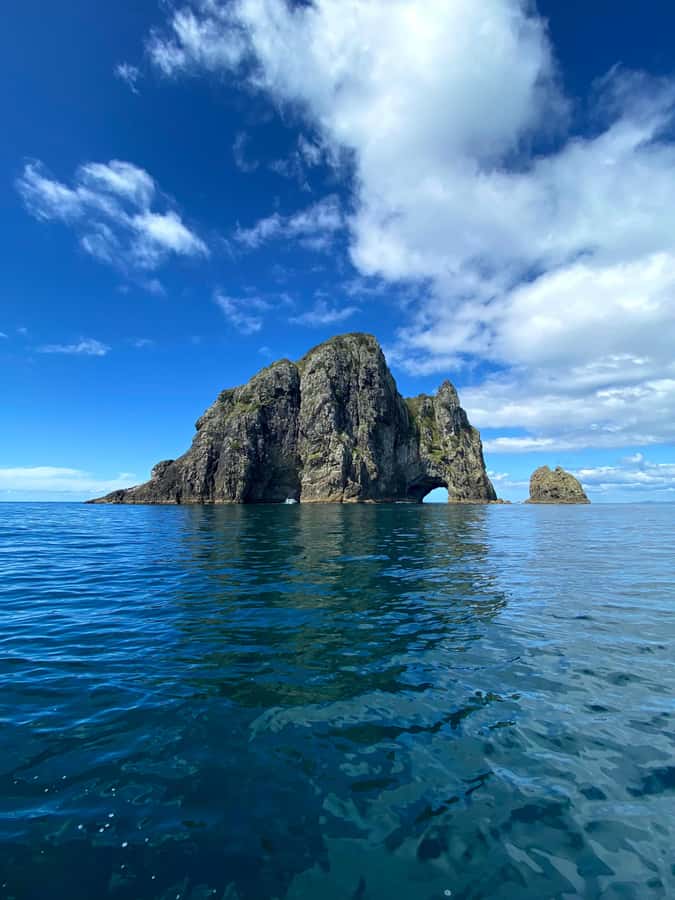 From Paihia: Scenic Cruise with Roberton Island Stopover - The Hole in the Rock at Motukokako Island