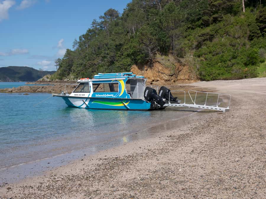 From Paihia: Scenic Cruise with Roberton Island Stopover - What the commentary adds