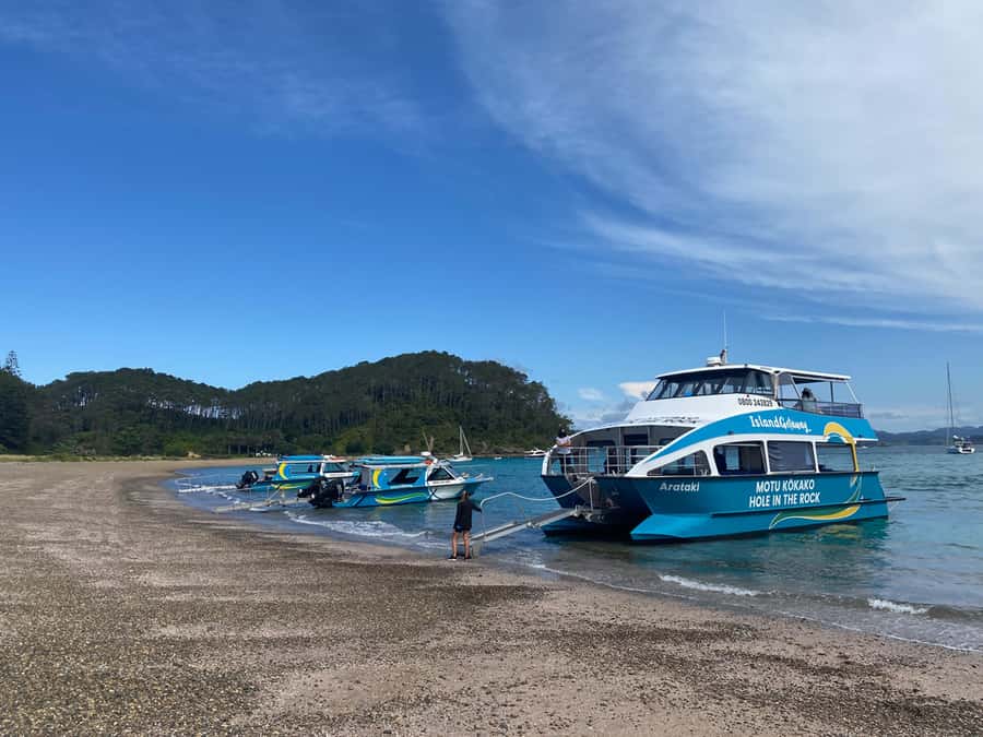 From Paihia: Scenic Cruise with Roberton Island Stopover - Swimming, snorkeling, and paddleboarding