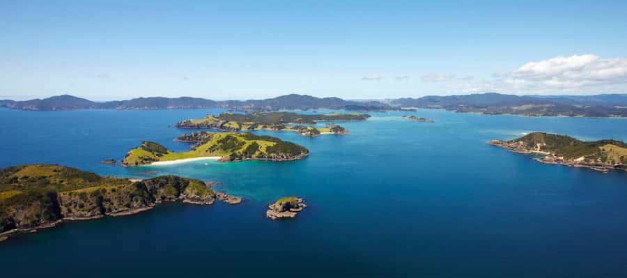 From Paihia: Scenic Cruise with Roberton Island Stopover - The boat, group size, and comfort