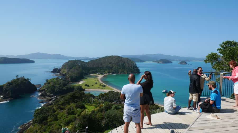 From Paihia: Scenic Cruise with Roberton Island Stopover - Is $78 good value?
