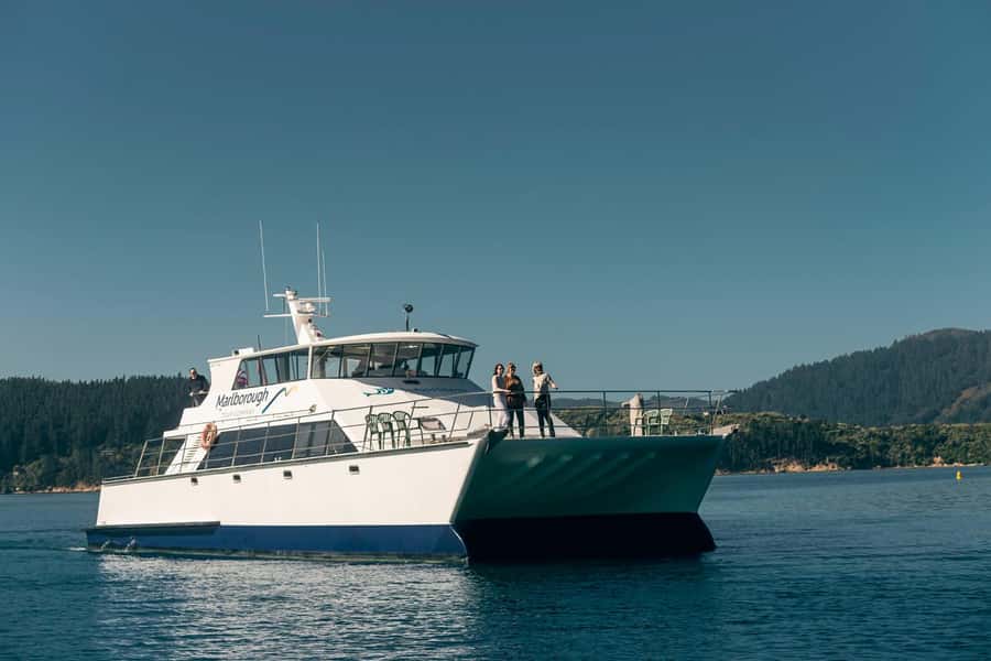 From Picton: Marlborough Sounds Cruise with Seafood - Stories about Picton and marine farming