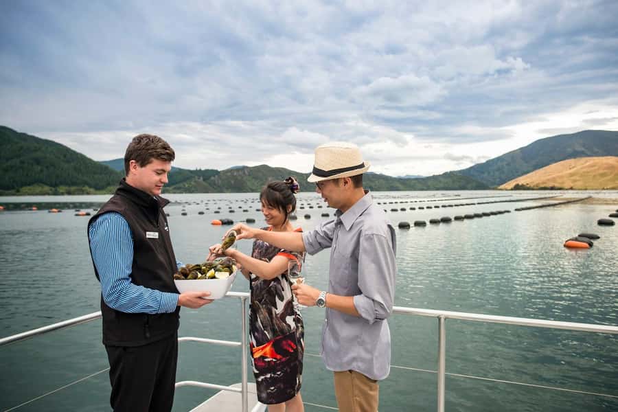 From Picton: Marlborough Sounds Cruise with Seafood - Who will enjoy this Picton cruise?