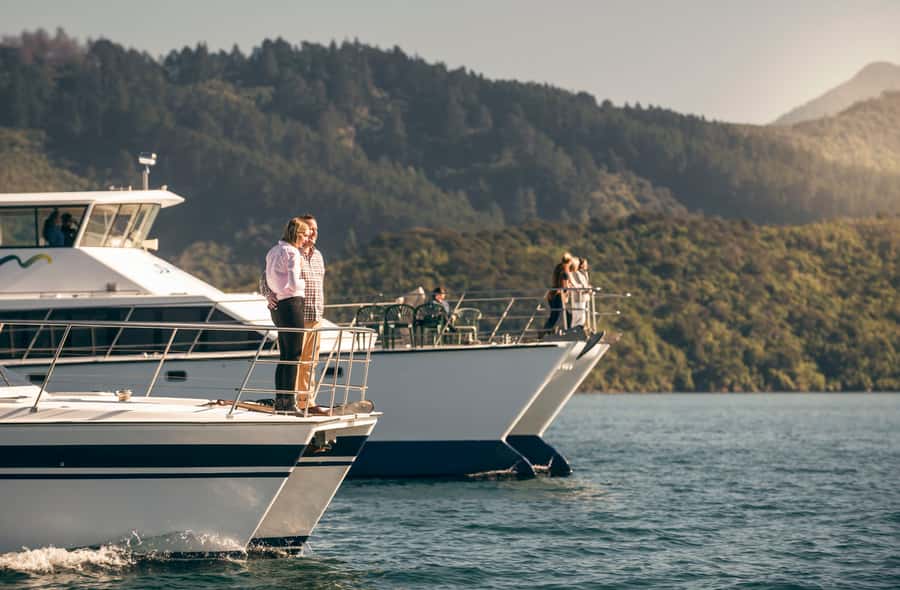 From Picton: Marlborough Sounds Cruise with Seafood - Practical details for a comfortable trip