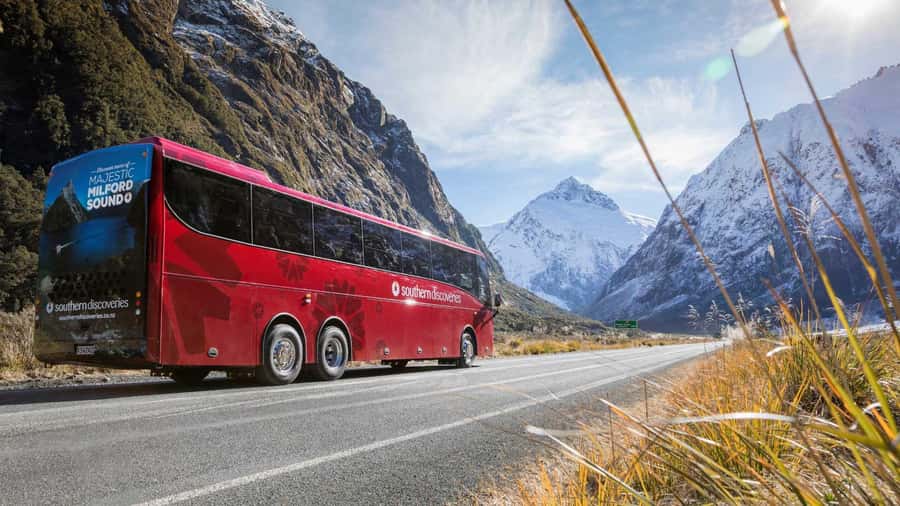 From Queenstown: Coach, Farm Tour & Milford Nature Cruise - Who will get the most from this day
