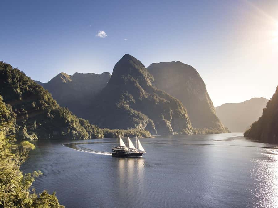 From Queenstown: Doubtful Sound Wilderness Day Trip - Why Doubtful Sound takes a full day from Queenstown