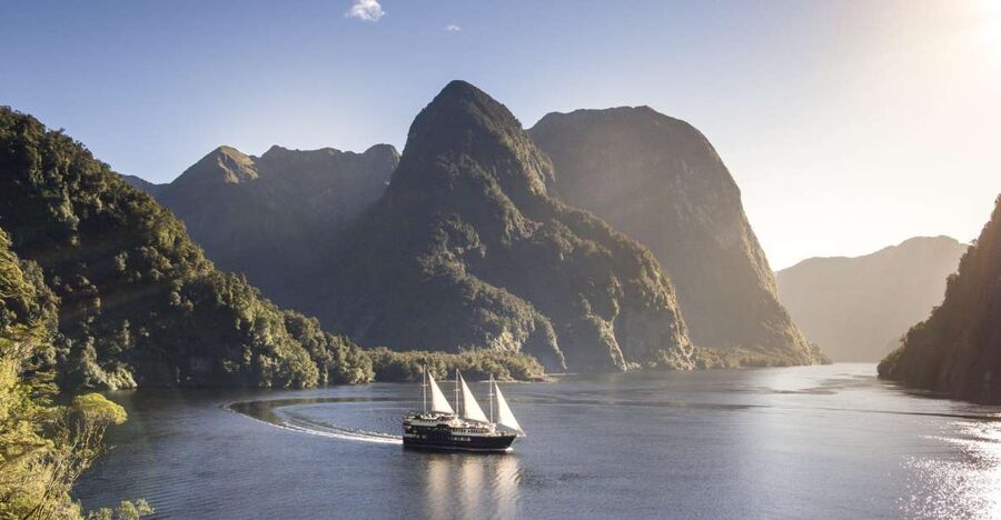 From Queenstown: Doubtful Sound Wilderness Day Trip - Wildlife sightings are possible, not promised