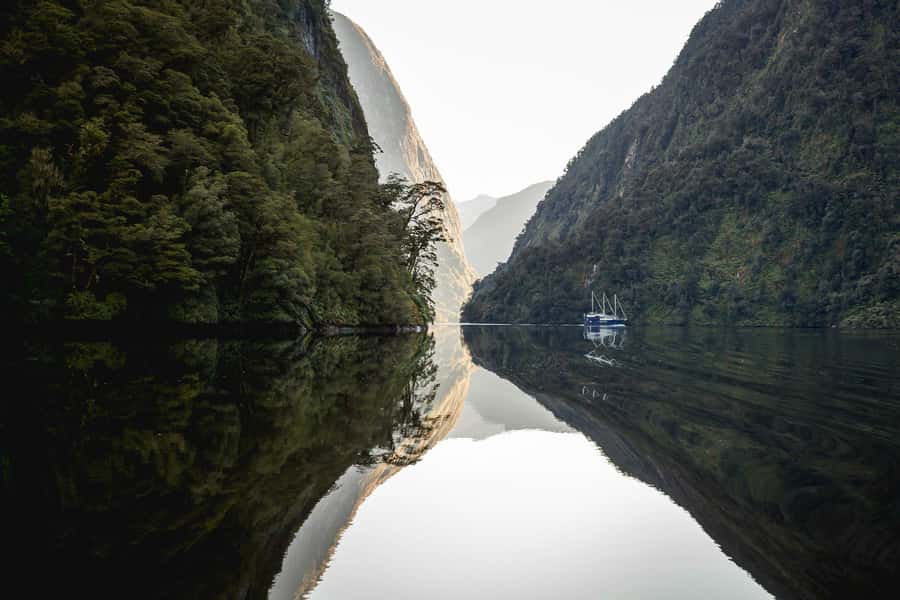 From Queenstown: Doubtful Sound Wilderness Day Trip - Comfort, pace, and group handling