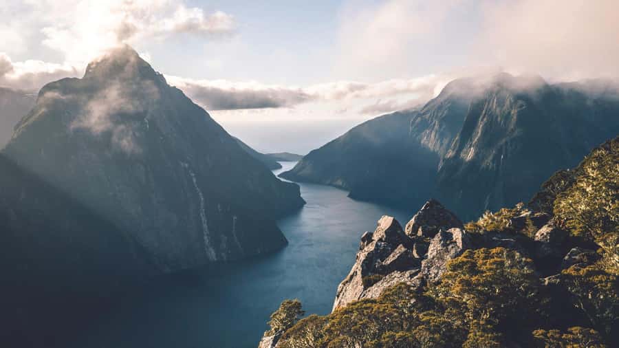 From Queenstown: Milford Sound Business Class with Cruise - Is $417 a fair price?