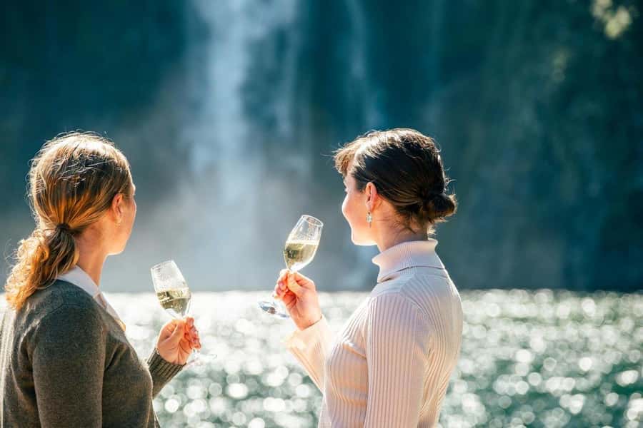 From Queenstown: Milford Sound Business Class with Cruise - Who will enjoy this Milford Sound experience?