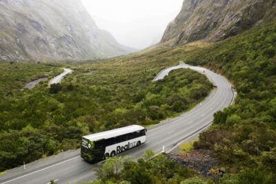 Milford Sound Cruise and Coach Day Tour