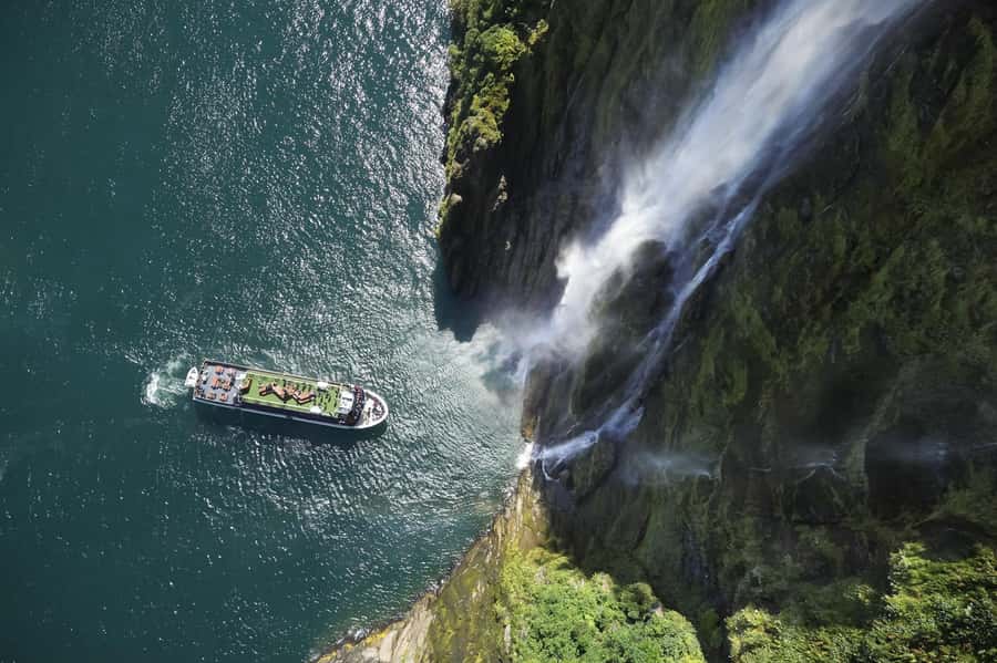 From Queenstown: Milford Sound Cruise and Coach Day Tour - Wildlife sightings are possible, not promised