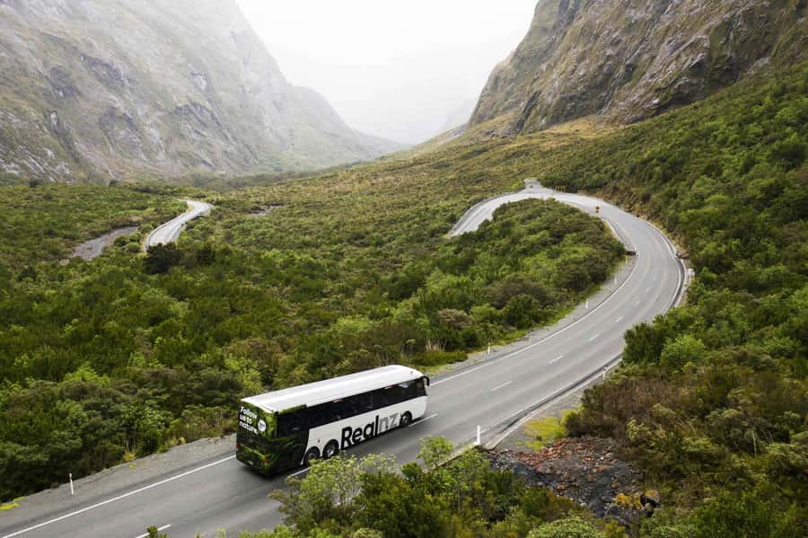 From Queenstown: Milford Sound Cruise and Coach Day Tour - Starting at 88 Beach Street in Queenstown