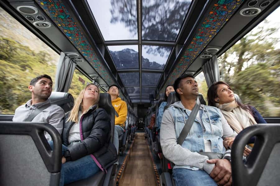 From Queenstown Milford Sound Cruise & Glass-Roof Coach Tour - Comfort, timing, and what to bring