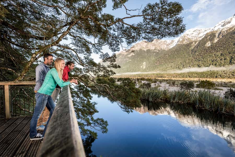 From Queenstown: Milford Sound Day Trip on Premium Coach - The Queenstown to Milford Sound road day