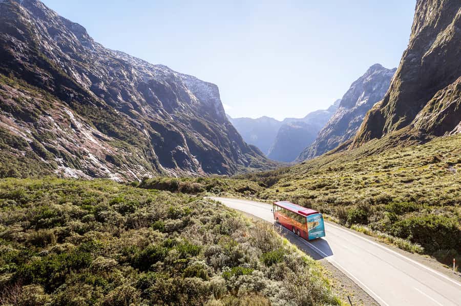 From Queenstown: Milford Sound Day Trip on Premium Coach - Mirror Lakes are small but worth the stop
