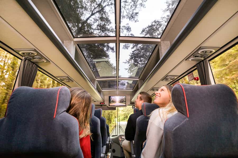 From Queenstown: Milford Sound Day Trip on Premium Coach - Te Anau gives you a useful pause
