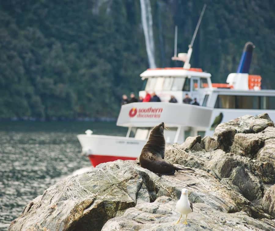 From Queenstown: Milford Sound Discover More Longest Cruise - Mirror Lakes and the first scenic stops