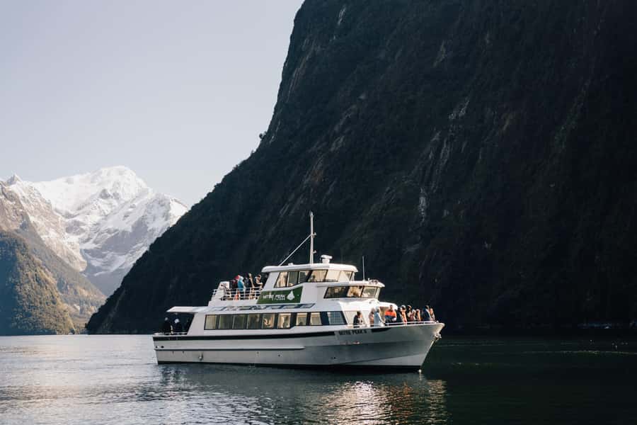 From Queenstown: Milford Sound Full-Day Trip by Plane & Boat - Should you book this Milford Sound flight?