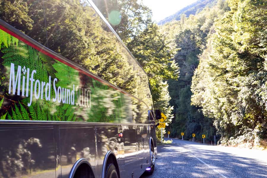 From Queenstown: Milford Sound Premium Day Tour and Cruise - Key points to know before booking