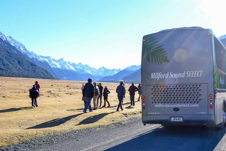 From Queenstown: Milford Sound Premium Day Tour and Cruise - Mirror Lakes and the short rainforest walk